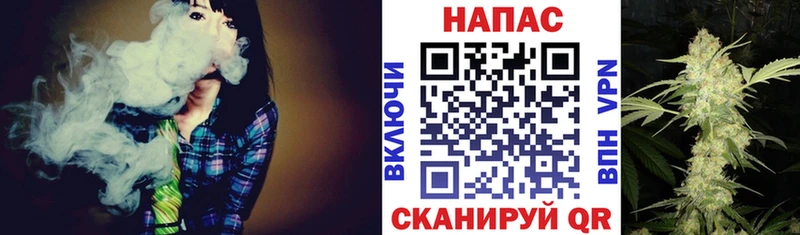 Бошки Шишки Отрадный