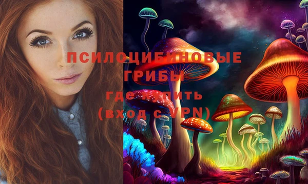дурь Михайловка